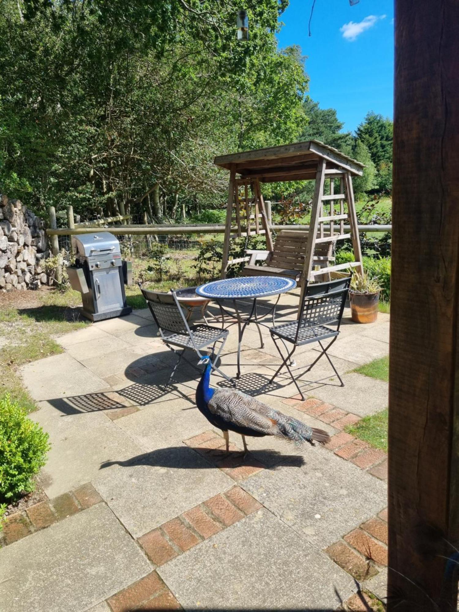 Sika Hut Holiday home *