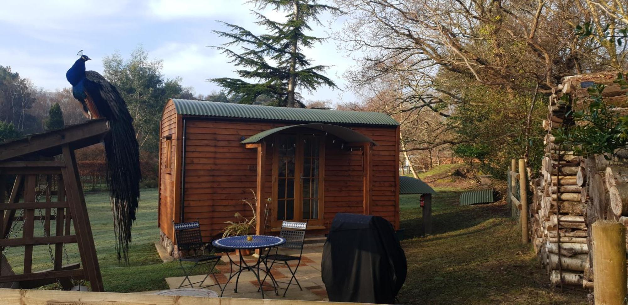Sika Hut Holiday home *