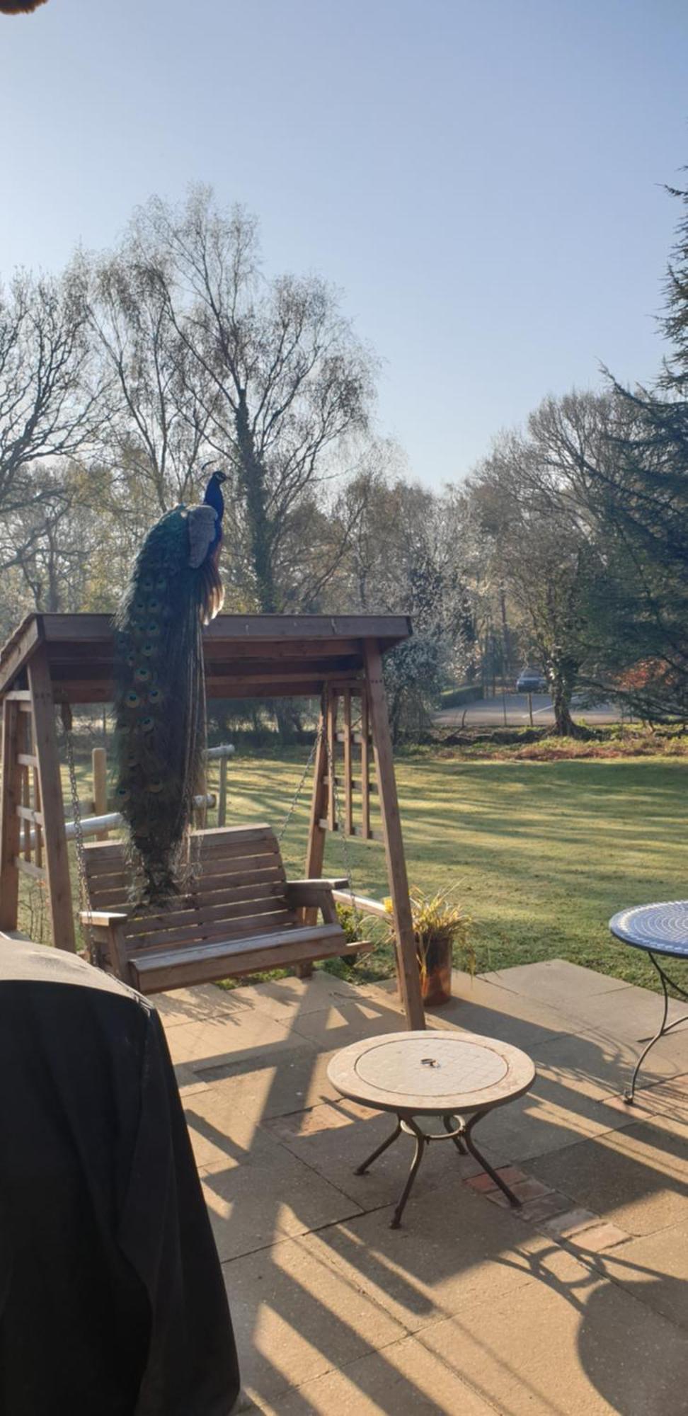 Sika Hut Vakantiehuis